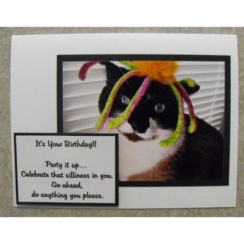 Funny Cat Birthday Cards - Cassia 43